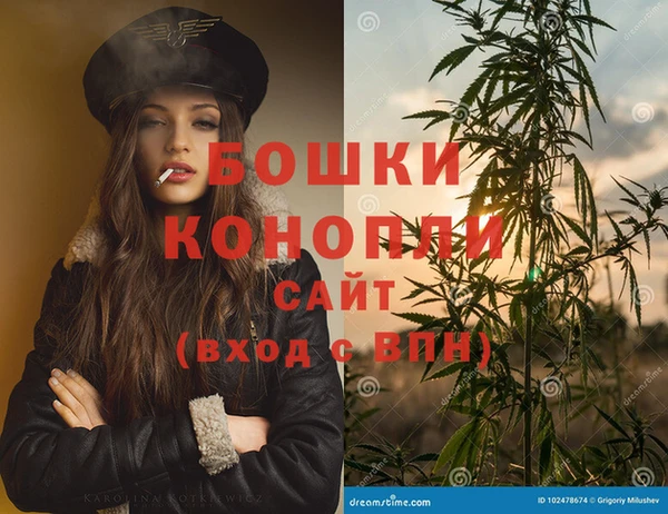 крисы Верхний Тагил