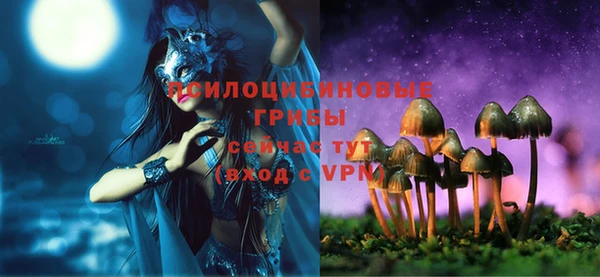 крисы Верхний Тагил