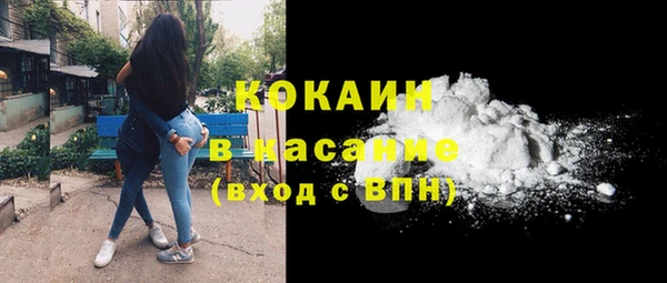 крисы Верхний Тагил