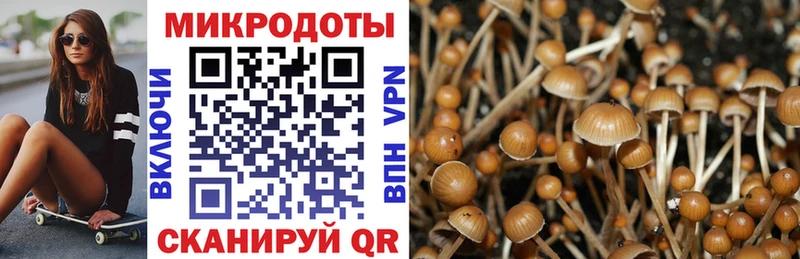 Купить закладки  Боготол  Галлюциногенные грибы ЛСД 